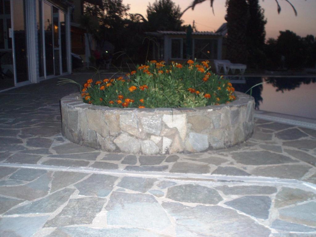 Loula Apartments Sidari Exterior photo